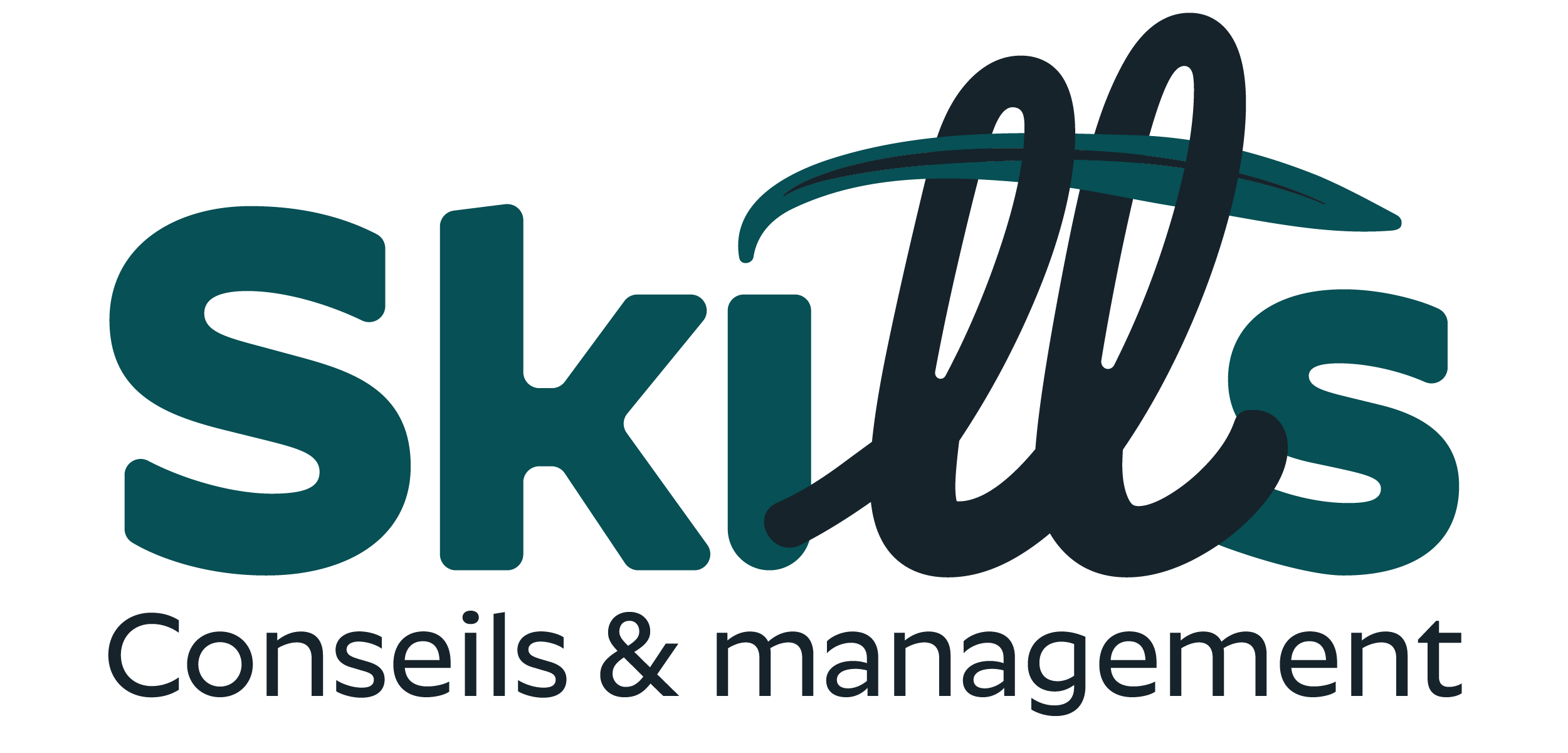 logo skillsconseils